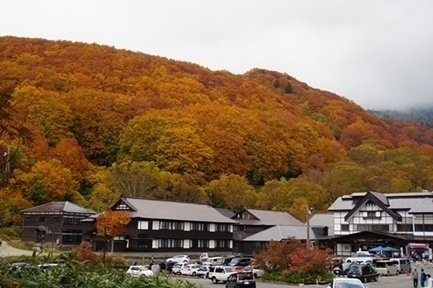酸ヶ湯温泉.JPG
