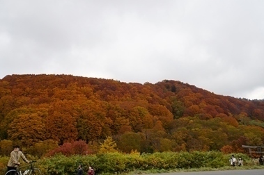 DSC03731.JPG